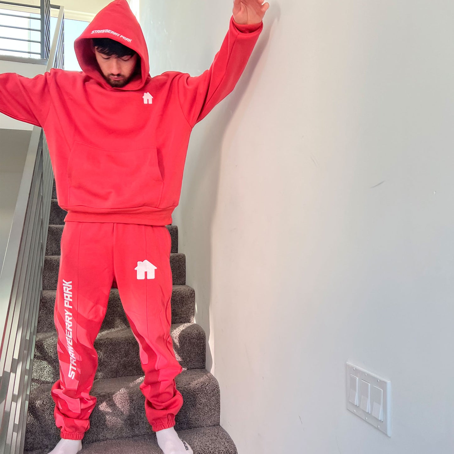 STRAWBERRY PARK HOODIE