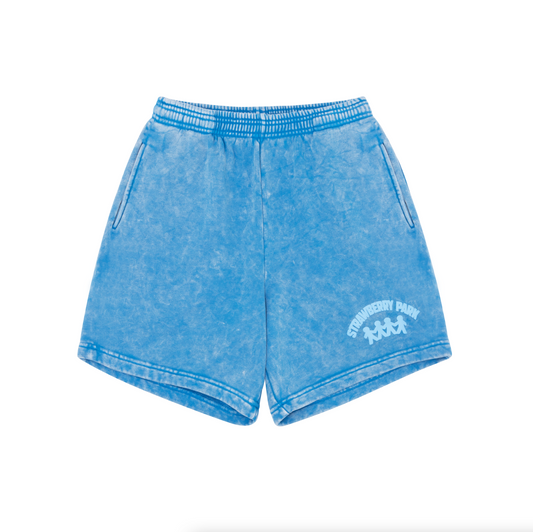 Summer Essential Blue Shorts